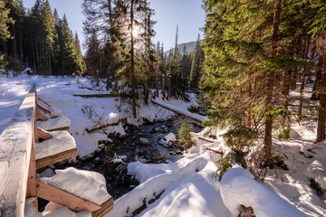 Stunning frozen stream and forest in Koscieliska valley in Tatras