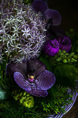 Close up image of purple wild orchid flower with green leaves and dry poppy cocoons