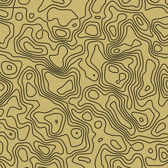 An abstract topographical contour map background image.