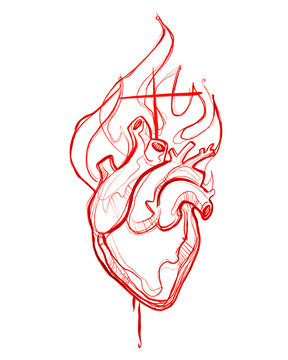 Jesus Christ sacred heart illustration