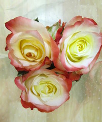 Bouquet of blooming yellow red roses close up.