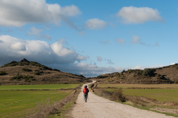 Fototapeta na wymiar Peregrino en soledad en dirección a la localidad navarra de Sangüesa en el Camino de Santiago Aragonés.