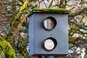 Close-up of old speed measuring device with moss on the roof