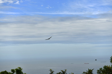 panoramic views of Rio de Janeiro from the observation deck of the Sugarloaf