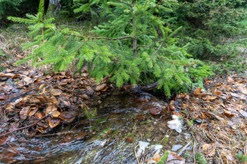 Fototapeta premium Szklarska Poręba last days of winter