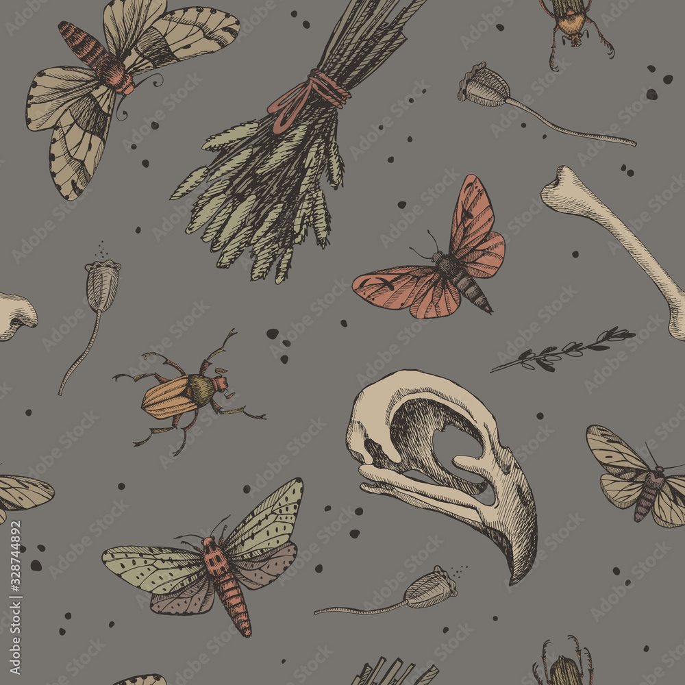 Poster Seamless pattern with magic background for witches and wizards. Mystical objects for witchcraft vector illustration. Skull of a bird, insects, bone, dry herbs. Wicca and pagan traditions.