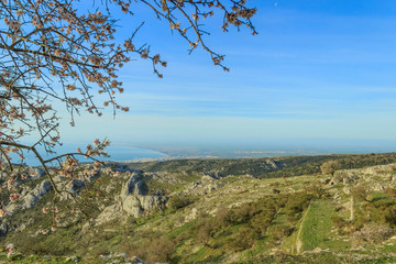 Gargano promontory: panoramic view from Monte Sant'Angelo. Spring Rural landscape with almond blossoms and grassland.