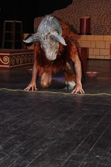 bull on a background