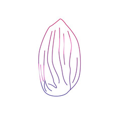 Colorful silhouette almond peanut vector