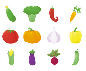 Set of colorful vegetables. Cute collection in cartoon style