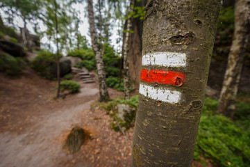Red tourist sign on a tree marking a trail in beautiful landscape of Czech Republic. Czechia has one of the best grid and systems for hiking trails
