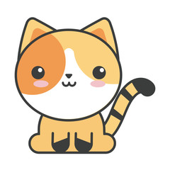 cute cat on white background, feline domestic