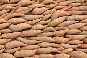 Sweet potatoes placed together