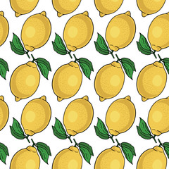 Seamless pattern with yellow lemons. Vector illustration.