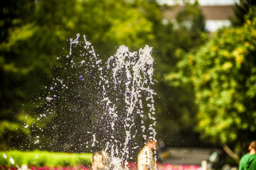 Beautiful and original fountains in the environment.