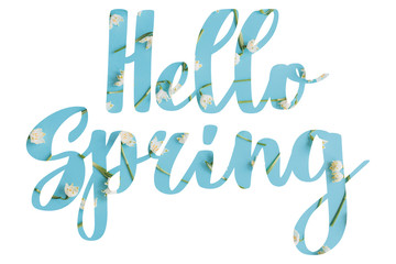 Hello Spring. Stylish Hello Spring  floral text with white spring flowers on blue background, lettering isolated on white. Floral greeting card or poster template. Springtime
