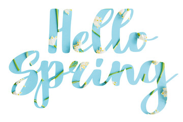 Hello Spring. Stylish Hello Spring  floral text with white spring flowers on blue background, lettering isolated on white. Floral greeting card or poster template. Springtime