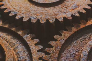 Rusty gears from old mechanism photographed at close range.