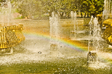 Beautiful and original fountains in the environment.