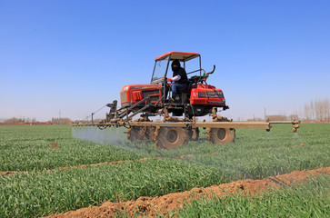 self propelled boom sprayer spraying foliar fertilizer on a farm, Luannan County, Hebei Province,...
