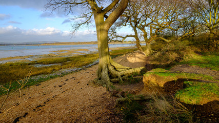 Itchenor foreshore, West Sussex, UK