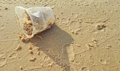 Plastic water bottles pollution in ocean on the shore,