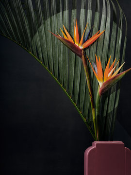 Birds of Paradise in Pink Against Palm in Art Deco Vase with Spotlight on Blooms