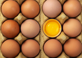 Broken egg with whole eggs in box. Top view.