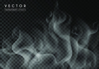 Transparent special effect of hot steam or smoke. Vector gas, fog isolated on dark background. Realistic wavy elements