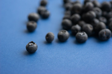 Blueberry berry on a classic blue background.