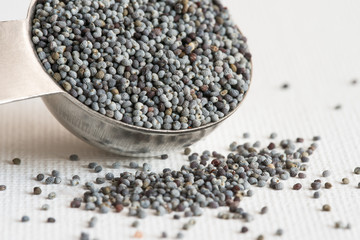 Poppy Seeds Spilled from a Teaspoon