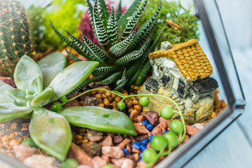 Three little glass vases with fresh bouquets stands on the table. Florarium