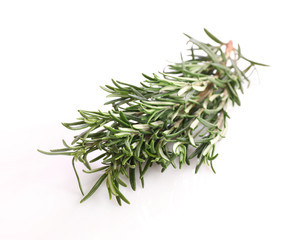 Fresh green rosemary sprigs isolated on a white background