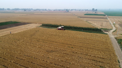 The harvester harvested wheat in the field, Luannan County, Hebei Province, China