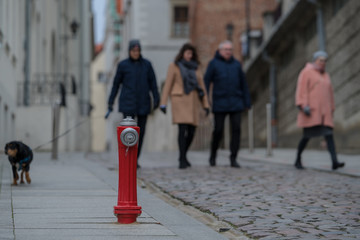 walking the city with the dog, red fire hydrant and fire protection © DDFoTo - Czerniawsky
