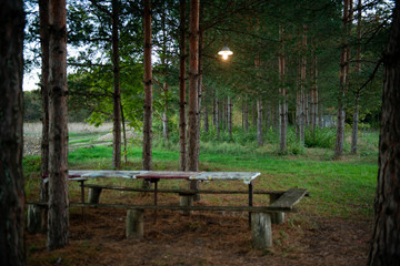 Naklejka premium Лес с пустым столом и лавочкой с горящей лампочкой окруженный соснами и деревьями на природе