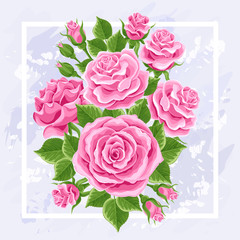 pink roses vector illustration