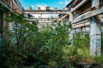 Old abandoned ruined industrial building overgrown by plants and trees