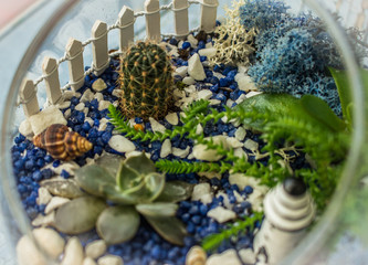 Three little glass vases with fresh bouquets stands on the table. Florarium