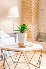 Home plant placed on a small table in bright room interior with paintings, potted plants and floor lamp.Stylish interior of living room with small design table and sofa. White brick walls