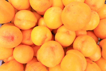 Yellow peaches on the farm