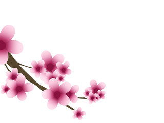 Fototapeta na wymiar Stylized illustration of a cherry twig