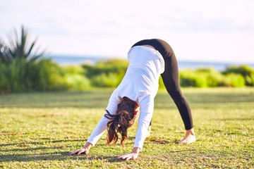 Fototapeta na wymiar Young beautiful sportwoman practicing yoga. Coach teaching warrior pose at park