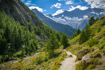 Fototapeta na wymiar Hiking trail to Saas-Almagell village in Swiss Alps with incredible views on majestic peaks