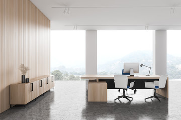 Panoramic white and wooden CEO office