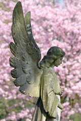 statue of angel at municipal cemetery in Amsterdam, The Netherlands