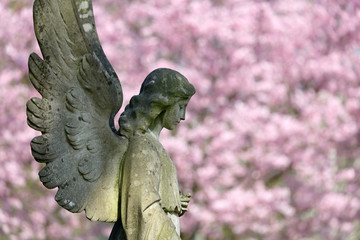 statue of angel at municipal cemetery in Amsterdam, The Netherlands