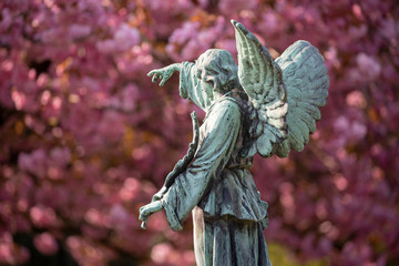 statue of angel at municipal cemetery in Amsterdam, The Netherlands