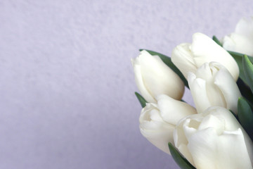 White tulips on the grey background, close-up. Copy space.