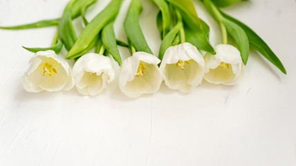Fototapeta na wymiar Flowers composition. Delicate tulip flowers on white backdrop. Valentines day, Mothers day concept. Top view, copy space